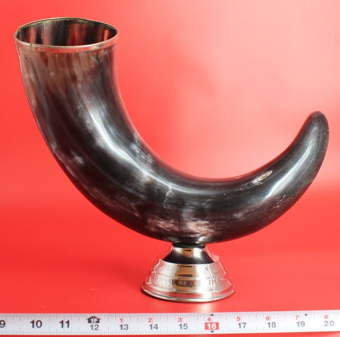 Mounted bison horn