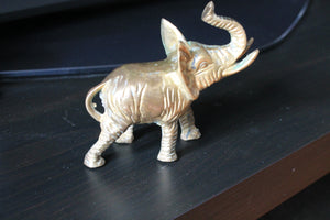 Elephants lot