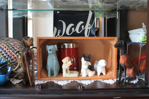 Living room dogs lot