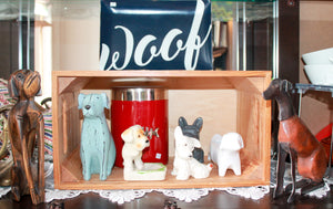 Living room dogs lot