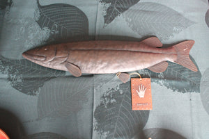 Fishes lot