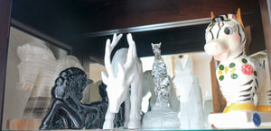 Equine lot