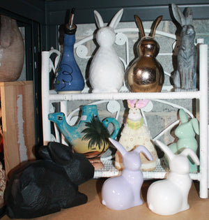 Basement bunnies lot