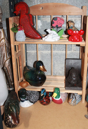 Basement ducks lot
