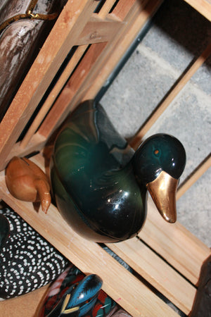 Basement ducks lot