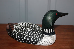 Basement ducks lot