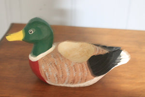 Basement ducks lot