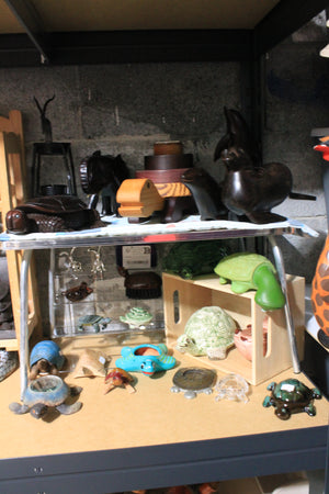 Basement turtles lot