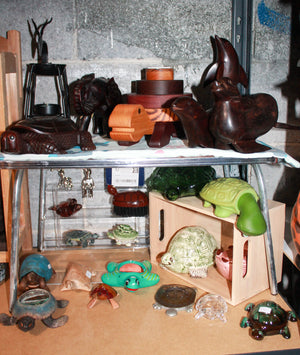 Basement turtles lot