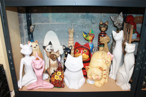 Basement cats lot