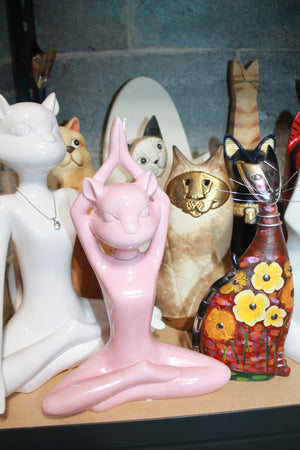 Basement cats lot