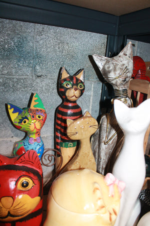 Basement cats lot
