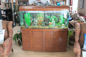 110 gallon aquarium and cabinet