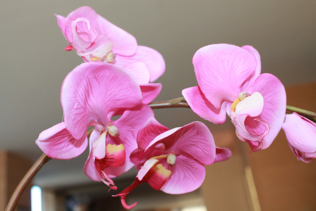 Faux Flowers Lot (6 pcs)