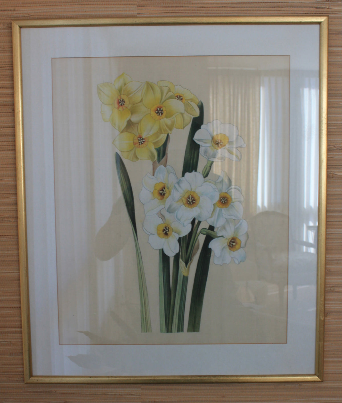 Daffodils Print #1