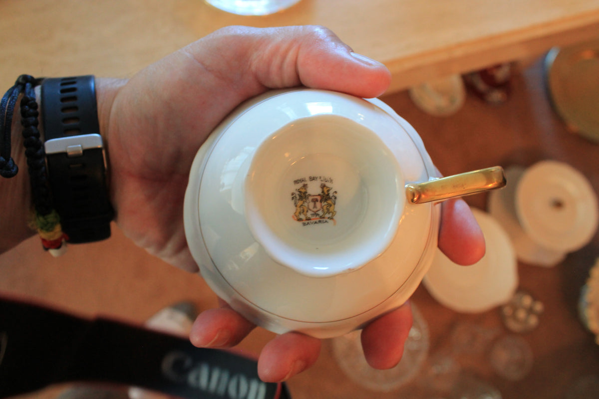 Royal Bayreuth Teacup