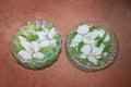 Glass Flowered Plates Lot (7+5)