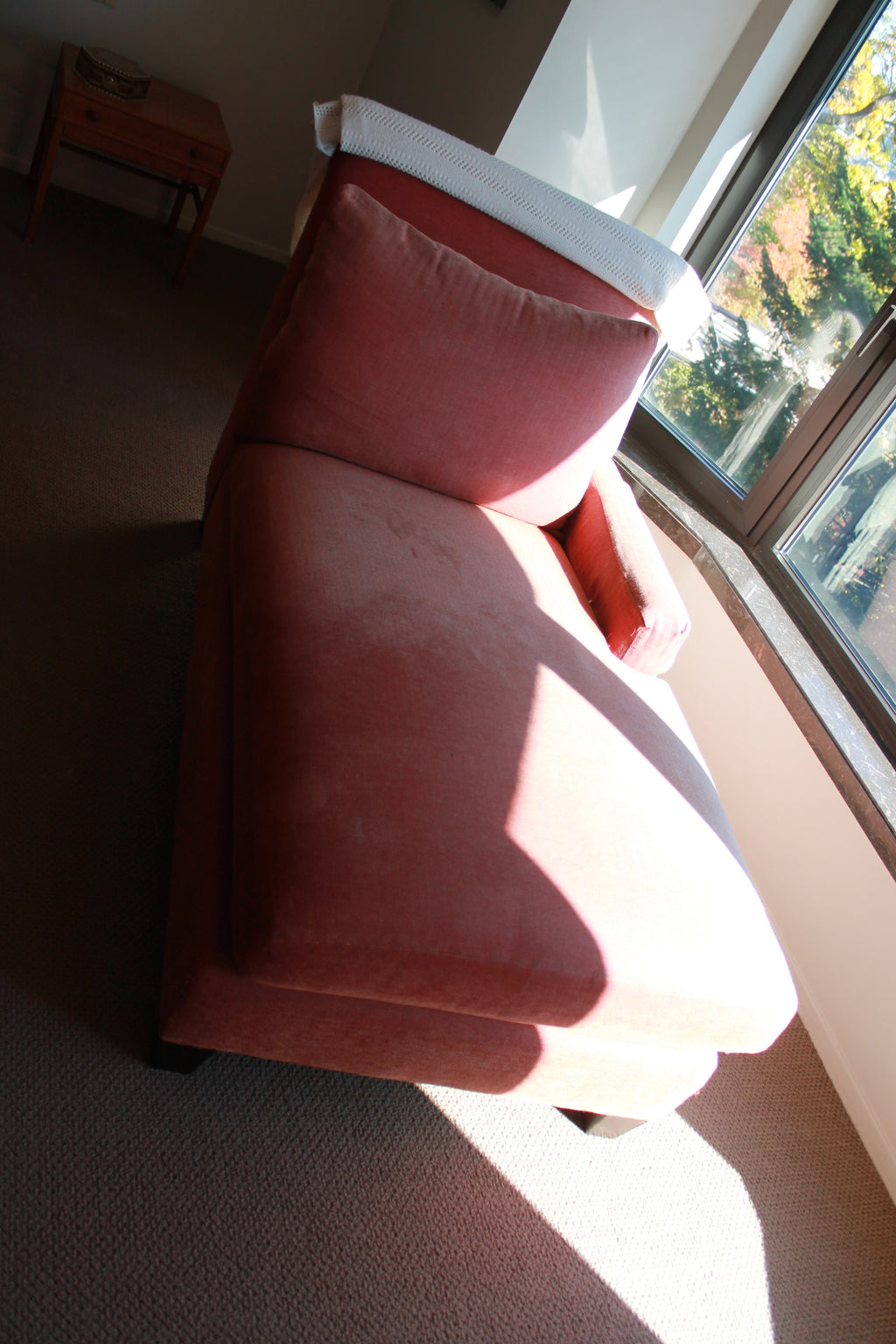 Plush Chaise