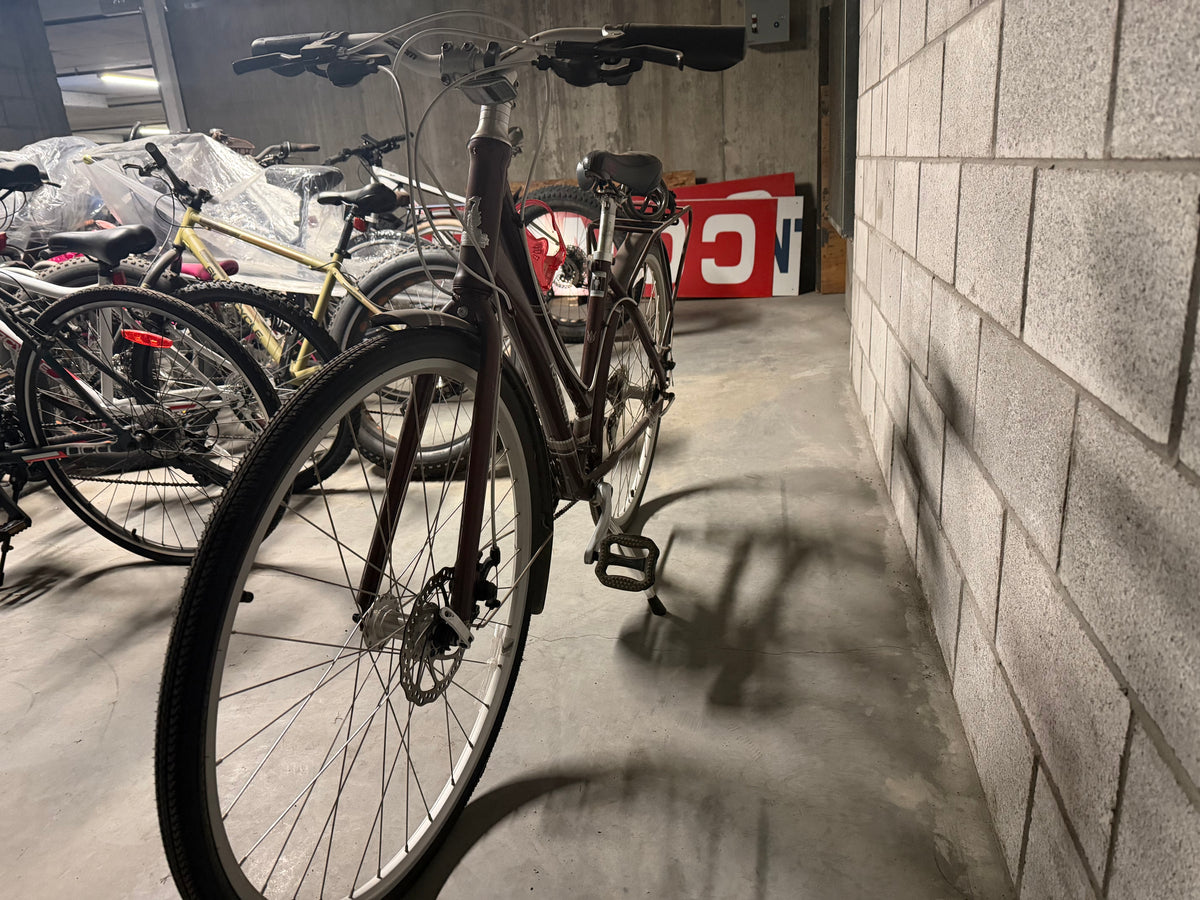 Raleigh Women's Cruiser Bicycle